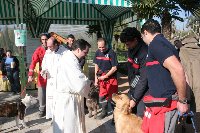 Ms de un centenar de mascotas son bendecidas en el Da de San Antn