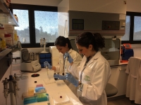 Investigadoras en pleno trabajo de laboratorio