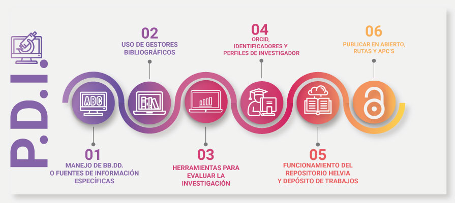 infografia formacion PDI