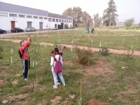 Prcticas en el Bosque Universitario de la asignatura de Ecologa, de 2 de Ciencias Ambientales